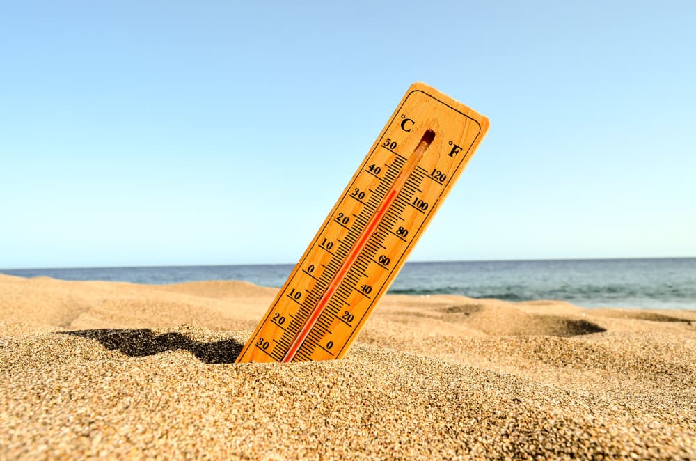 Find out about the most frequent health problems in summer